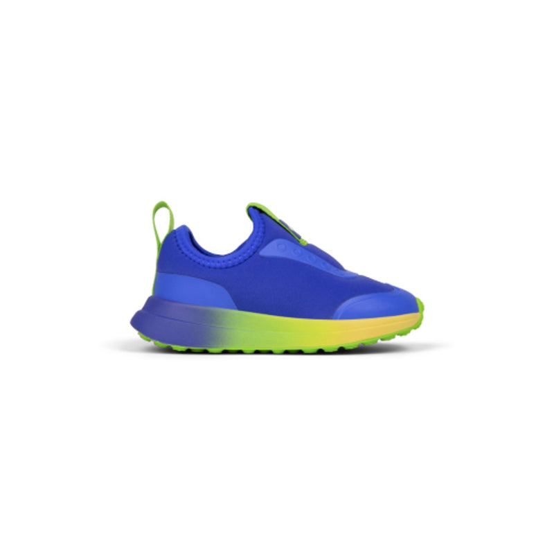 Native Shoes - Unisex Robbie Dash Ombre Kids
